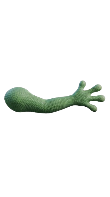lizard arm